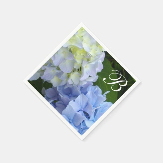 Hydrangeas Servet (Hoek)