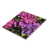 Hydrangeas Tegeltje (Zijkant)