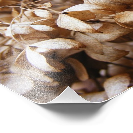 Hydrangeas van februari foto afdruk (Hoek)