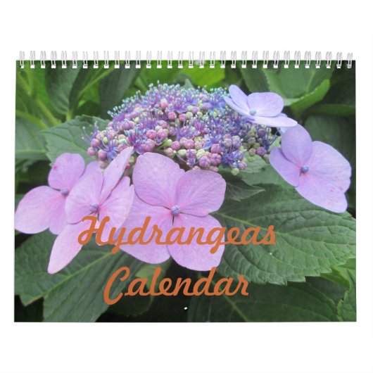 Hydrangeas ventilatorkalender kalender (Hoes)