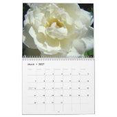 HYDRANGEAS White Roses Ferns Calendar Teacher Kalender (Mar 2027)