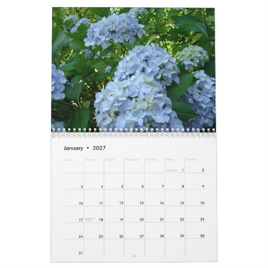 HYDRANGEAS White Roses Ferns Calendar Teacher Kalender (Jan 2027)