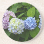 Hydrangeas Zandsteen Onderzetter (Voorkant)