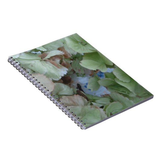 Hydrangebladeren Notitieboek (Rechterzijde)