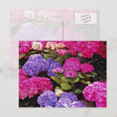 Hydrangebloemen Briefkaart (Voorkant / Achterkant)