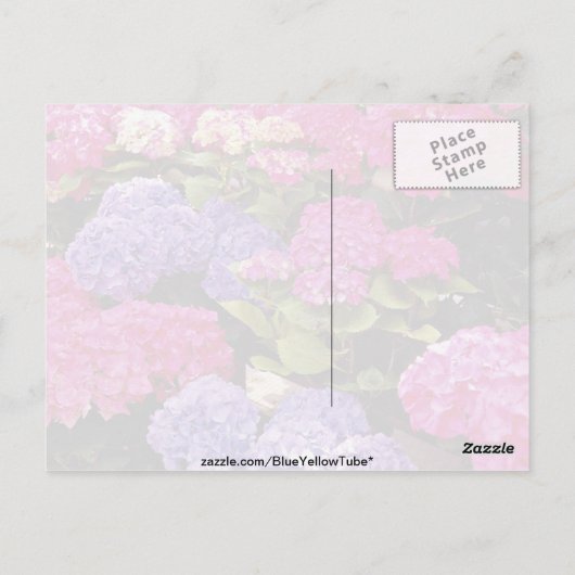 Hydrangebloemen Briefkaart (Achterkant)