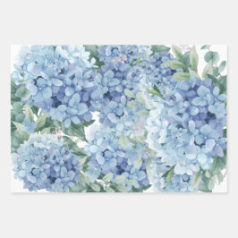 Hydrangebloemen Inpakpapier Vel