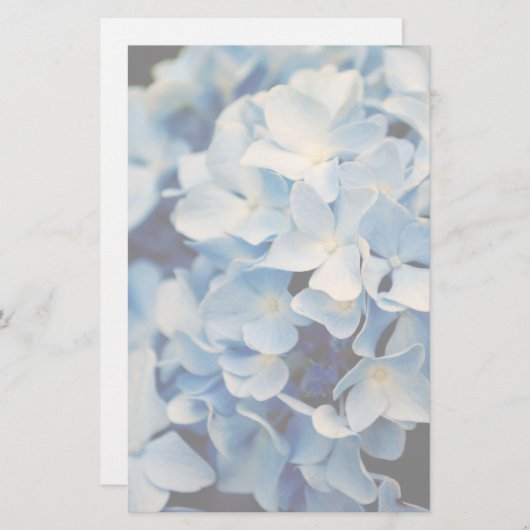 Hydrangeenbloem Briefpapier (Voorkant / Achterkant)