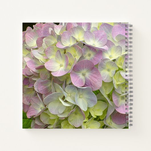Hydrangeenventilator Notitieboek (Achterkant)