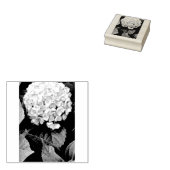 Hydrangestempel Rubberstempel (Gestempeld)
