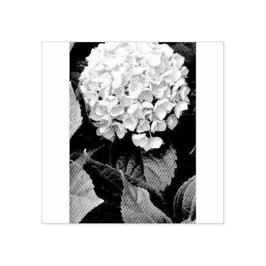 Hydrangestempel Rubberstempel (Afrduk)