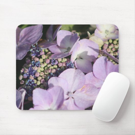 Hydrangia heeft een muismat (Met muis)