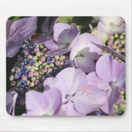 Hydrangia heeft een muismat