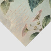 Hydrangie Tissuepapier (Detail)