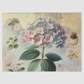 Hydrangie Tissuepapier