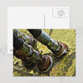Hydraulische slangen op oude trekker briefkaart (Voorkant / Achterkant)