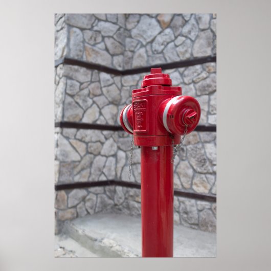 Hydrisch glas poster (Voorkant)