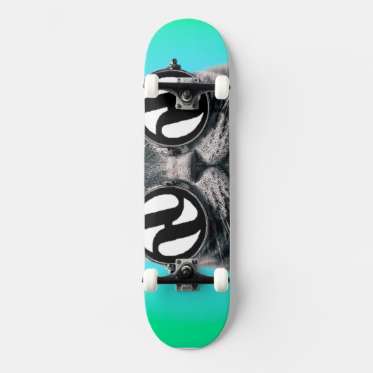 Hydro Cat Skateboard (Voorkant)