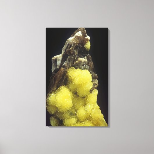 Hydroboraciet op Gorgeyite, Kazachstan Canvas Afdruk (Voorkant)