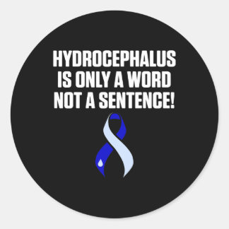 Hydrocefalus Survivor Woordbewustzijn Warrior Ronde Sticker