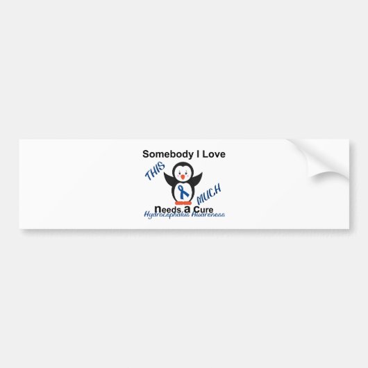 Hydrocephalus Awareness Iemand van wie ik hou Bumpersticker (Voorkant)