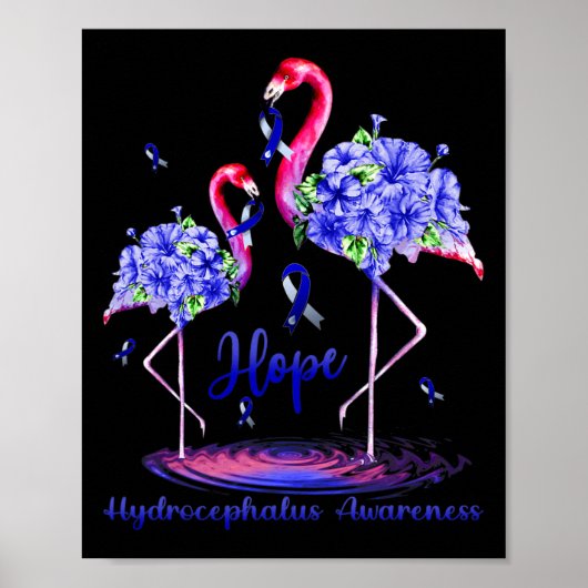 Hydrocephalus Awareness Poster (Voorkant)