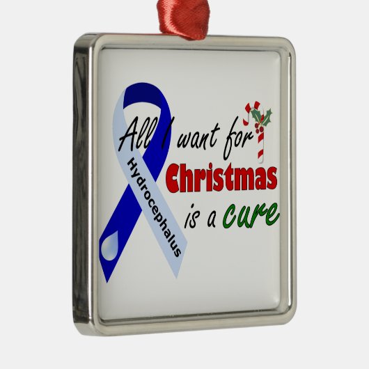 Hydrocephalus Cure kerstversiering Metalen Ornament (Rechts)