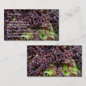 Hydroponensla Visitekaartje (Voorkant / Achterkant)