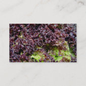 Hydroponensla Visitekaartje (Achterkant)