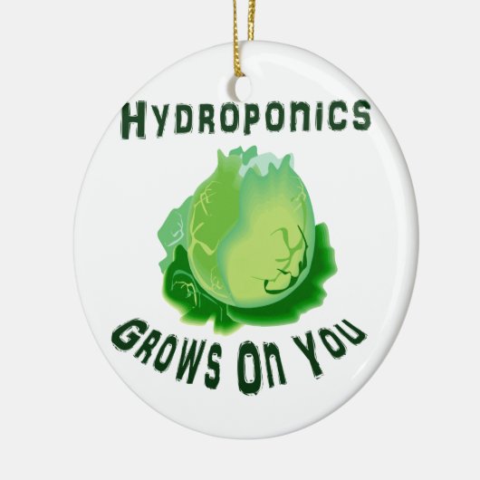 Hydroponica groeit op je sla keramisch ornament (Links)