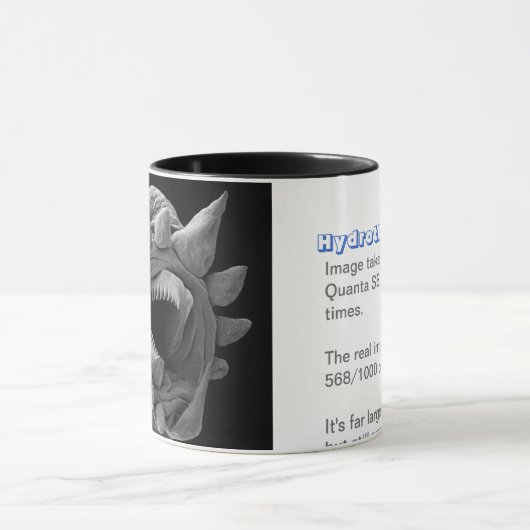 Hydrothermische worm mok (Midden)