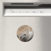Hyena Afbeelding magneet (Insitu (Vaatwasser))