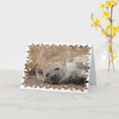 Hyena Afbeelding Wenskaart Kaart (Gele Bloem)