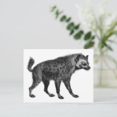 Hyena Briefkaart (Staand voorkant)