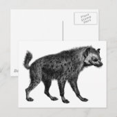 Hyena Briefkaart (Voorkant / Achterkant)