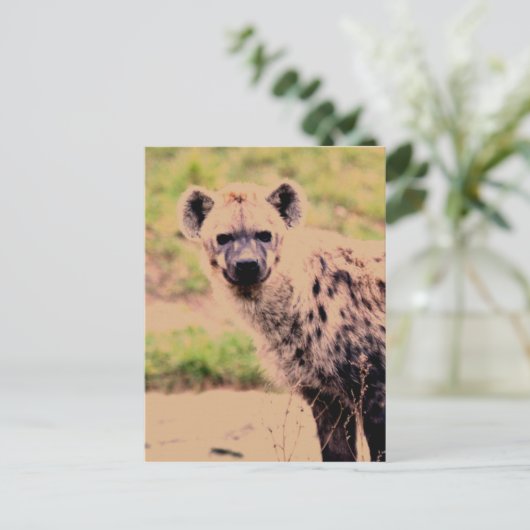 hyena briefkaart (Staand voorkant)