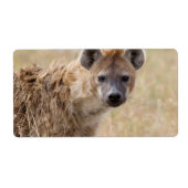 Hyena Etiket (Voorkant)