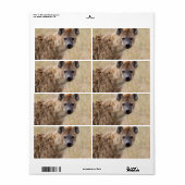 Hyena Etiket (Full Sheet)