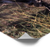 Hyena in het midden van gieren poster (Hoek)