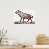 Hyena in potten of strippen van Antiek afdruk Poster (Keuken)