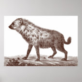 Hyena in potten of strippen van Antiek afdruk Poster (Voorkant)