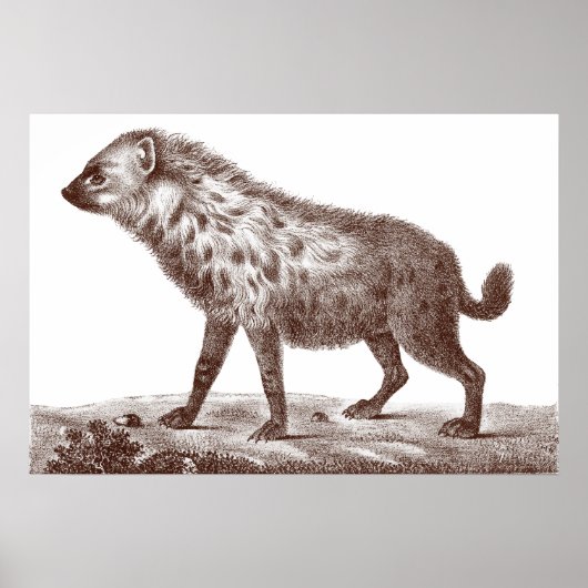 Hyena in potten of strippen van Antiek afdruk Poster (Voorkant)