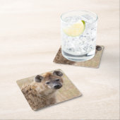 Hyena Kartonnen Onderzetters (Insitu)