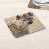 Hyena Kartonnen Onderzetters (Schuin)