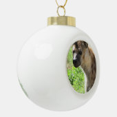 Hyena Keramische Bal Ornament (Links)