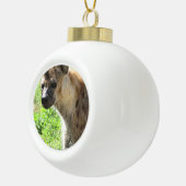 Hyena Keramische Bal Ornament (Rechts)