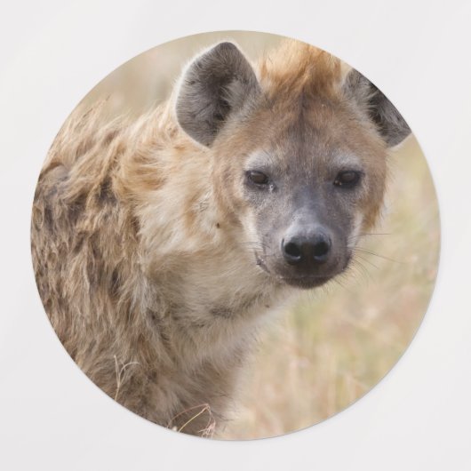 Hyena Labels (Design 1)