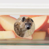 Hyena Labels (Aangebracht)
