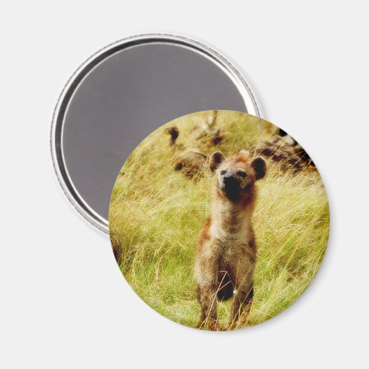 Hyena met gnoe (gnu) magneet (Voorkant / Achterkant)