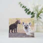 Hyena met jonge briefkaart (Staand voorkant)